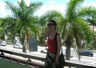 a07-its-a-bit-windy-on-those-palms.JPG