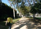 b04-beverly-hills-stroll.JPG