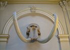 044-no-shit-those-tusks-were-massive.JPG