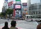 063-shibuya-worlds-biggest-zebra-crossing.JPG