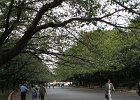 096-ueno-park-wandering.JPG