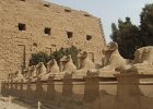 043-rams-headed-sphinxes-led-to-the-nile-and-to-luxor-temple.jpg