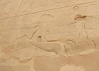 051-pharoah-rides-the-chariot-into-battle-this-relief-is-huge.jpg