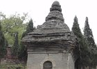 P4180629-pagoda-forest.JPG