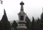P4180632-pagoda-forest.JPG