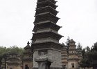 P4180634-pagoda-forest.JPG