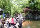 P4260435-yu-gardens.JPG