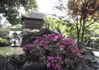 P4260442-yu-gardens.JPG